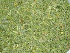 1 / 12   Kotvičník-sušená nať